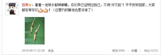 田亮调侃里约泳池辣眼睛:碧池也是没谁了